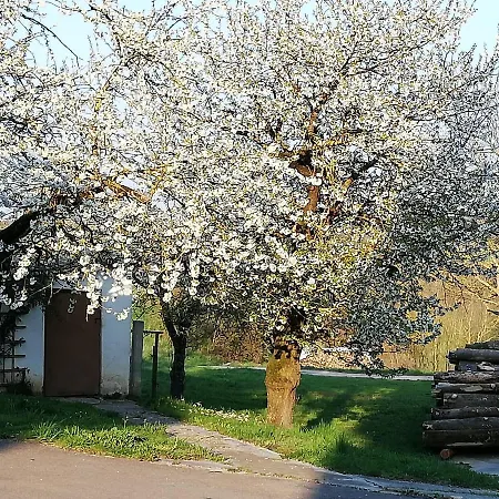 Am Bioland-bauernhof Διαμέρισμα Neustadt an der Donau